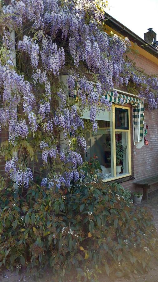 B&B De Vlinder Харденберг Екстериор снимка