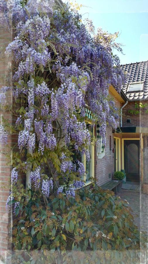 B&B De Vlinder Харденберг Екстериор снимка