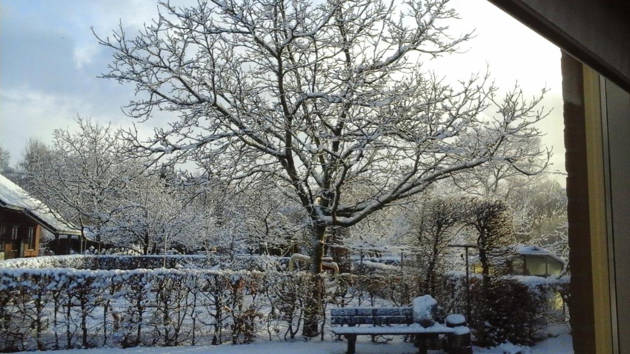 B&B De Vlinder Харденберг Екстериор снимка